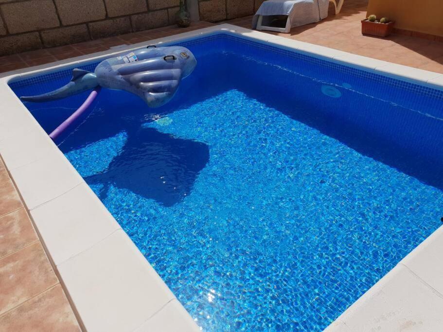Villa El Olivo Del Sur アロナ エクステリア 写真