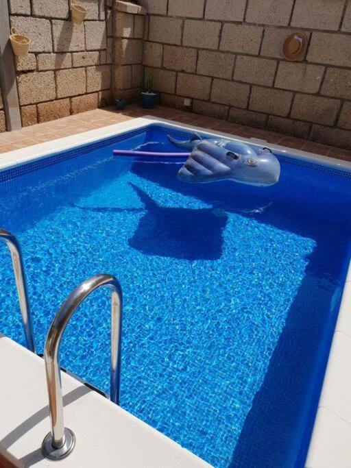 Villa El Olivo Del Sur アロナ エクステリア 写真